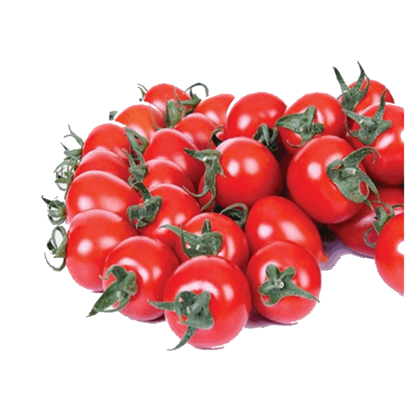 Asmin F1 Domates Tohumu resmi