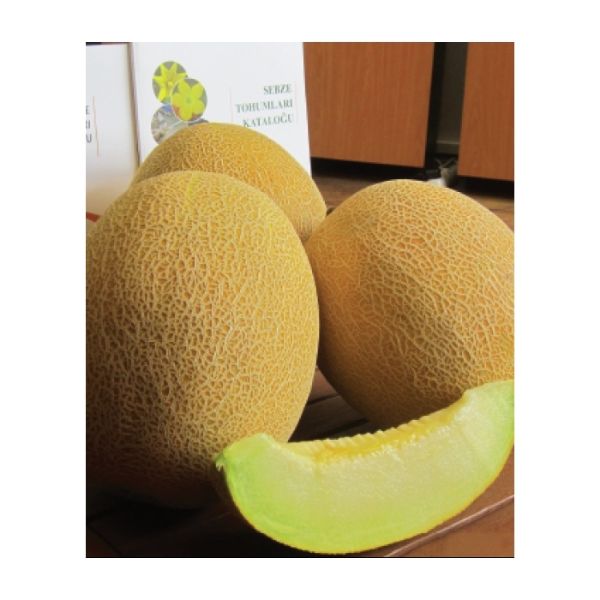 Şıra F1 Kavun Tohumu  resmi