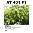 At-401 F1 Dolma Biber Tohumu resmi