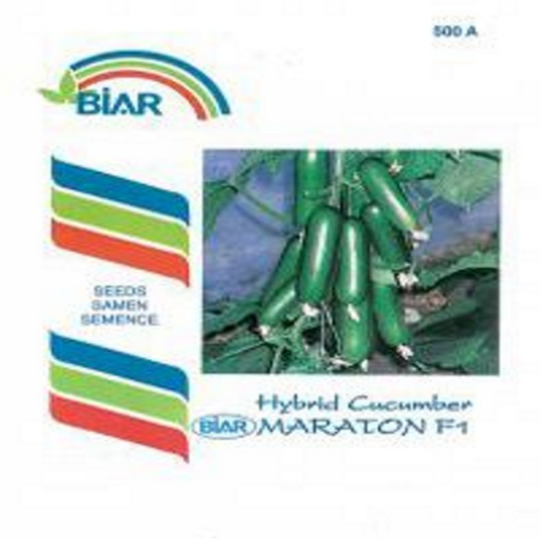 Yakut F1 Hıyar Tohumu (500 Adet'lik Paketlerde) resmi