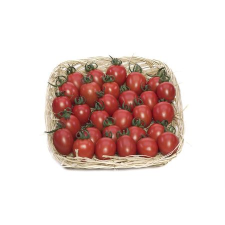 Elbir F1 Domates Tohumu. resmi