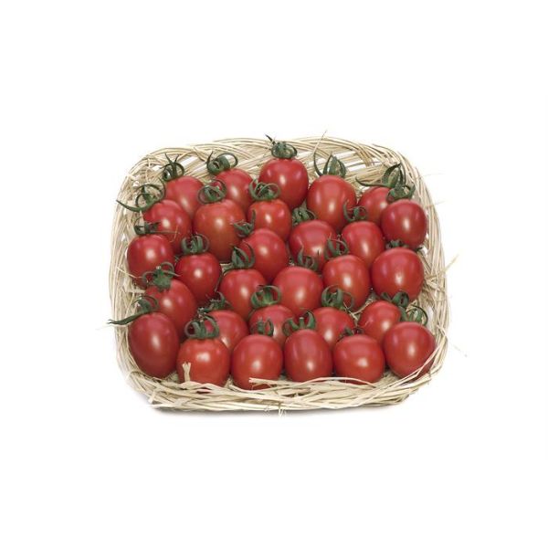 Elbir F1 Domates Tohumu. resmi