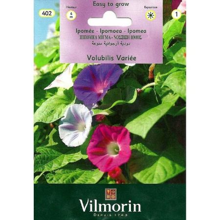 Kahkaha Çiçeği Karışık Renkli resmi