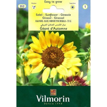 Güne Bakan Çiçeği (D'Automne) resmi