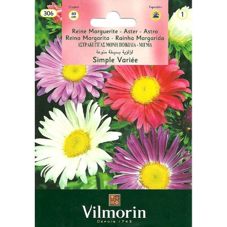 Katmersiz Kraliçe Papatya (Yalınkat) resmi