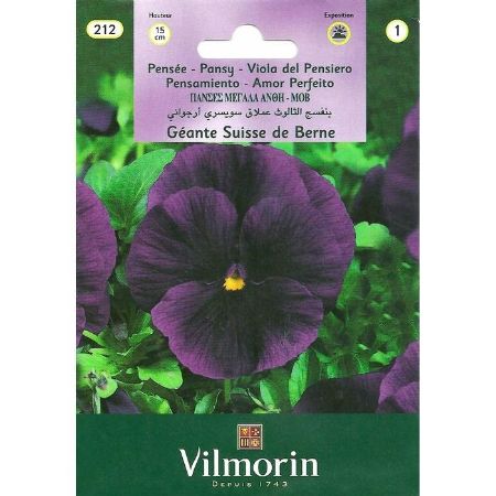 Hercai Menekşe (Mor) resmi