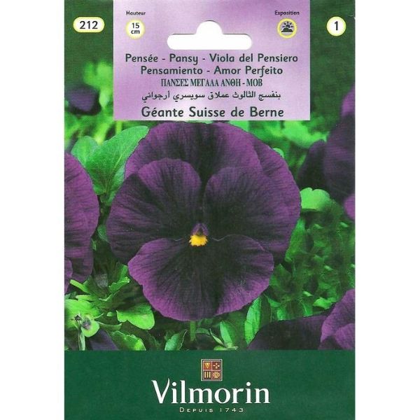 Hercai Menekşe (Mor) resmi