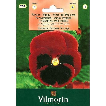 Hercai Menekşe (Kırmızı Alacalı) resmi