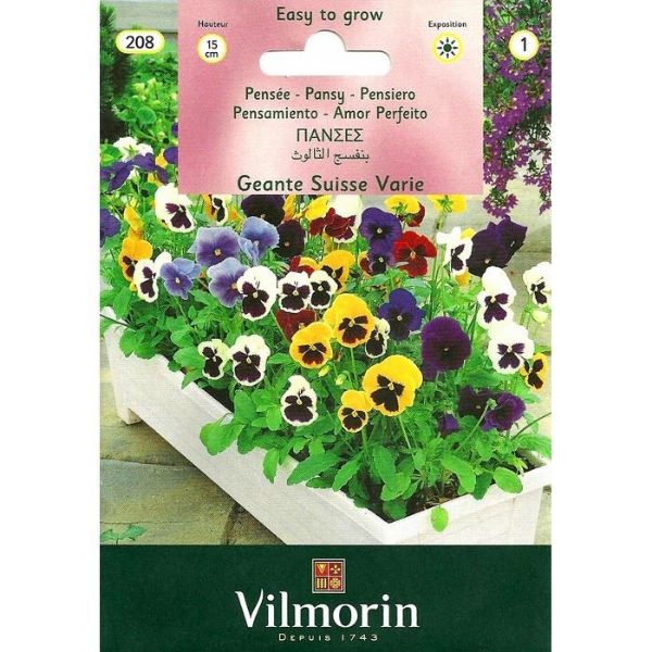 Hercai Menekşe (Karışık Alacalı) resmi