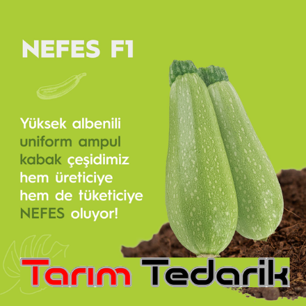 Nefes F1 Kabak Tohumu resmi