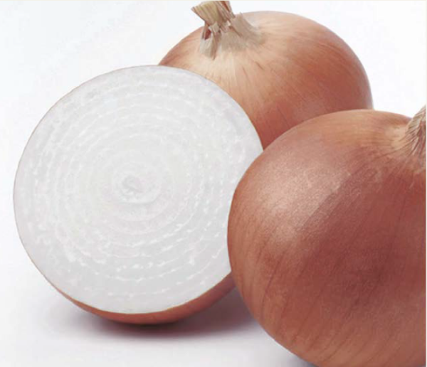 Oloroso F1 (Sarı) Soğan Tohumu resmi