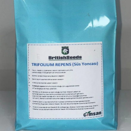 Trifolium Repens Çim Tohumu resmi