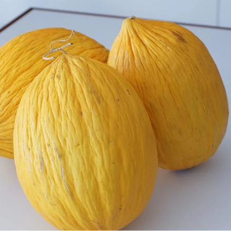 Davutbey F1 Kavun Tohumu (Sarı) resmi