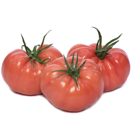 Gülköy F1 Domates Tohumu resmi