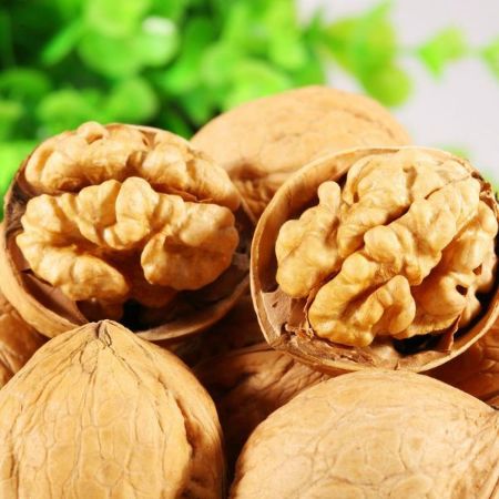 Chandler Ceviz resmi