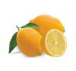 Mayer Limon resmi