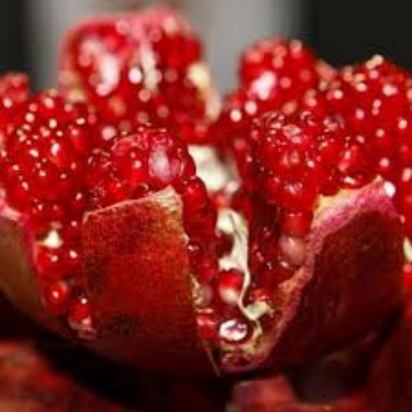 Cekirdeksiz  Fidanı resmi