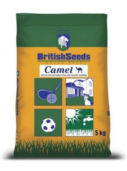 Camel Çim Tohumu resmi