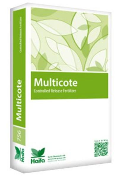 Multigreen Magic resmi