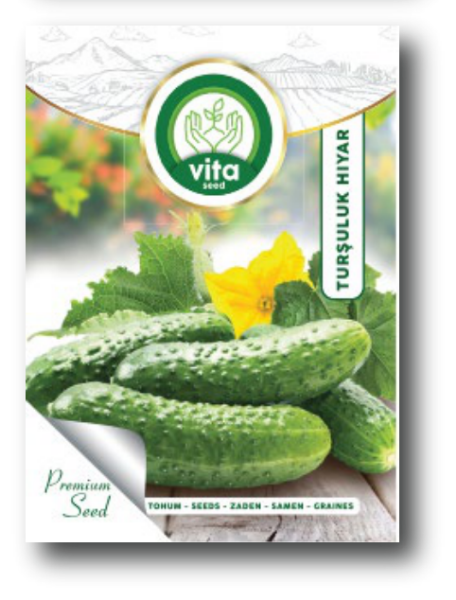 Turşuluk Kornişon resmi