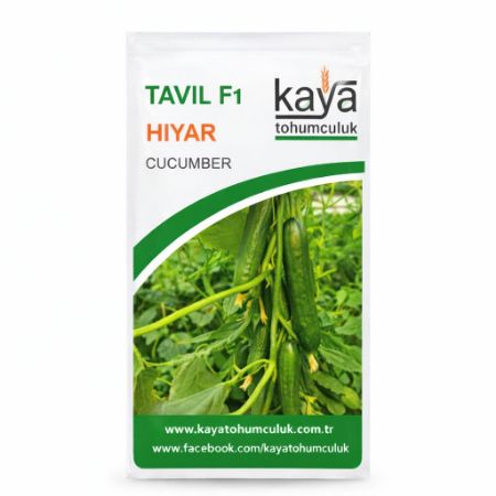 Tavil F1 Hıyar Tohumu (500 Adet'Lik Paketlerde) resmi
