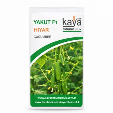Yakut F1 Hıyar Tohumu (500 Adet'lik Paketlerde) resmi