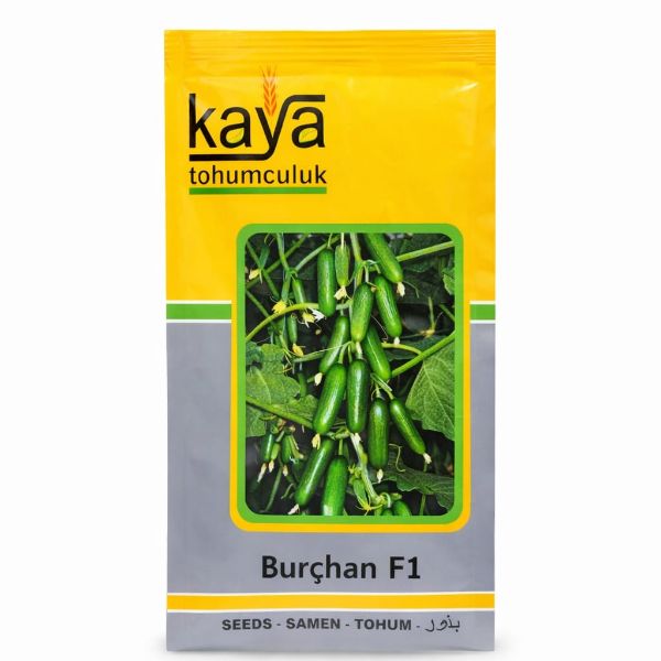 Burçhan F1 Hıyar Tohumu (500 Adet'lik Paketlerde) resmi