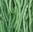Alman Ayşe 5 (Yuvarlak Sırık) Fasulye Tohumu 1 Kg resmi